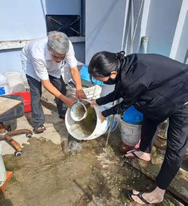 TP.HCM ghi nhận 6 tử vong do sốt xuất huyết trong 7 tháng