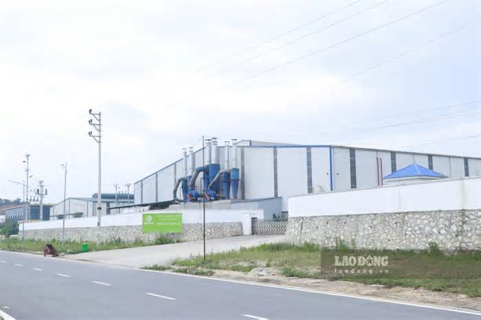 Đình chỉ hoạt động một doanh nghiệp gỗ không có giấy phép môi trường