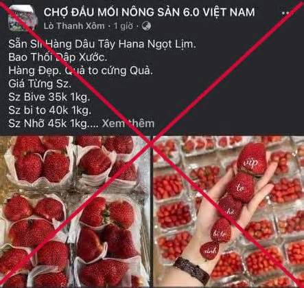Tìm người bị đối tượng ở Sơn La dụ mua nông sản rồi chiếm đoạt tiền cọc