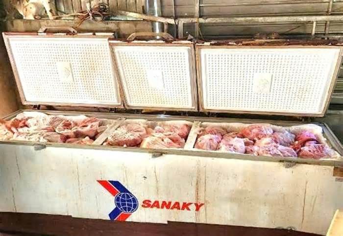 Gần 1 tấn thịt heo nhiễm bệnh được trữ đông trong hộ nuôi ở Nghệ An