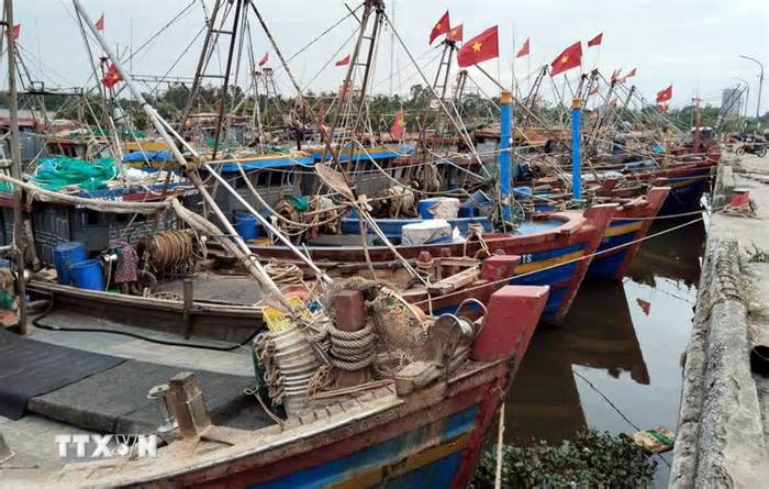 Khắc phục 'thẻ vàng' IUU: Nhiều ngư dân ở Hưng Yên đang chờ gỡ khó