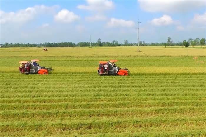 Thủ tục cấp sổ đỏ do thực hiện đổi đất nông nghiệp theo phương án dồn điền, đổi thửa