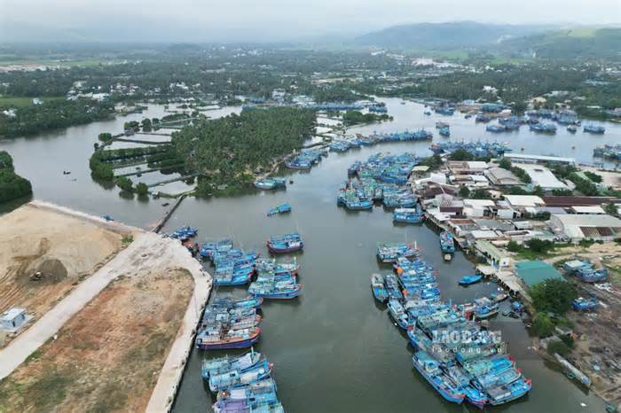 Bình Định xử lý kẻ móc nối, đưa tàu cá vượt biên khai thác