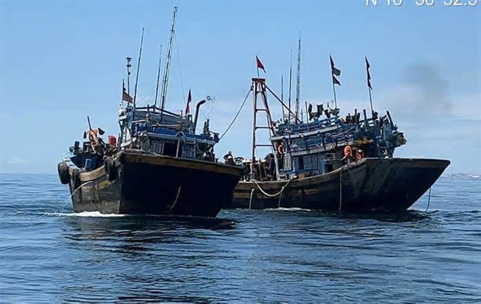 Liên tục bị bắt, tàu giã cào bay vẫn hoạt động bất chấp ở biển Lâm Đồng