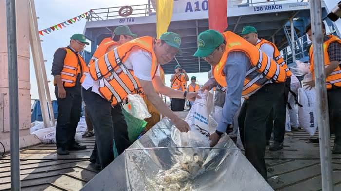 Thả hơn 215.000 cá giống xuống sông Hậu tái tạo nguồn lợi thủy sản ĐBSCL