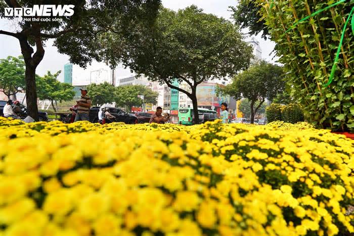 Công viên trung tâm TP.HCM tràn ngập hoa Tết, giá từ vài trăm nghìn đồng