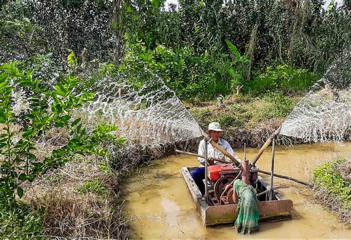 Thủ tướng chỉ đạo chủ động ứng phó xâm nhập mặn cao điểm tại miền Tây và TP.HCM