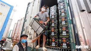 Kiểm soát dư lượng hóa chất trong trái cây: phải làm từ gốc, phối hợp với công an