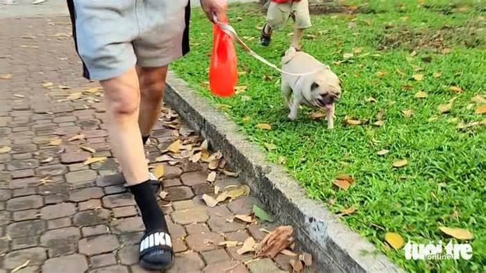 Người nuôi chó mèo tại TP.HCM phải khai báo với UBND cấp xã phường, đặc khu
