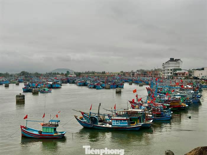 Cảng cá ở Quảng Ngãi vắng ngắt, hàng nghìn tàu thuyền ‘nằm bờ’ vì biển động