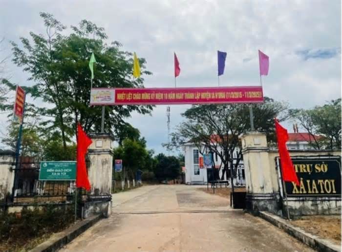 Khẩn cấp dập ổ dịch bệnh dại tại Quảng Ngãi, sau khi phát hiện chó mắc bệnh