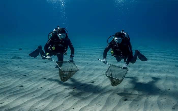 Thợ lặn chuyên nghiệp nói gì về vụ 2 người gặp nạn khi lặn biển tại Quảng Trị?