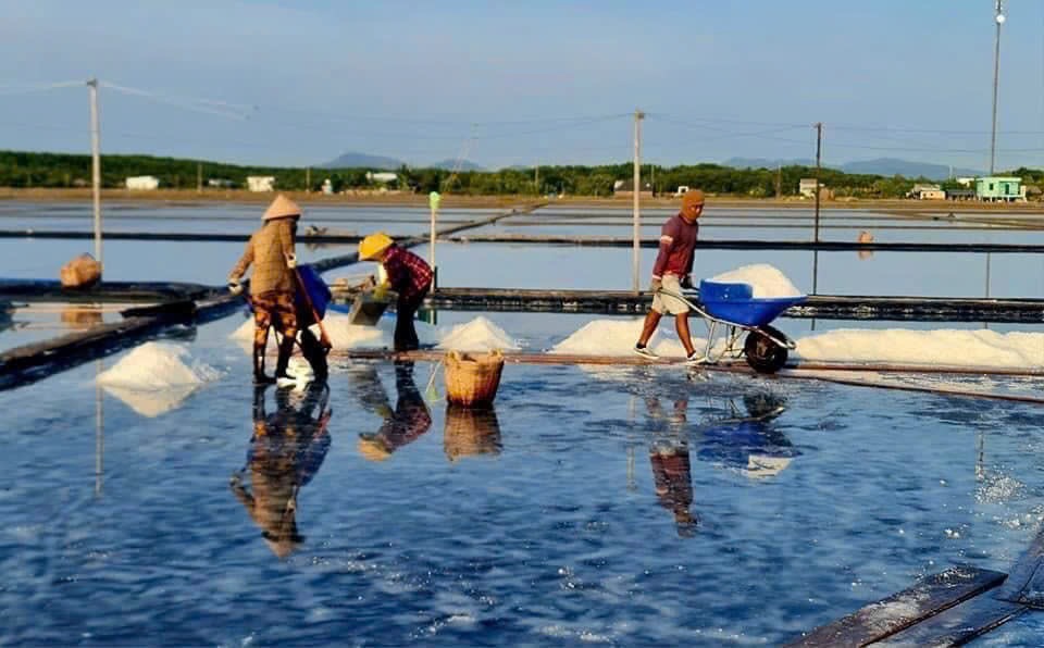 Diêm dân Cần Giờ bất ngờ trúng 'mùa' muối