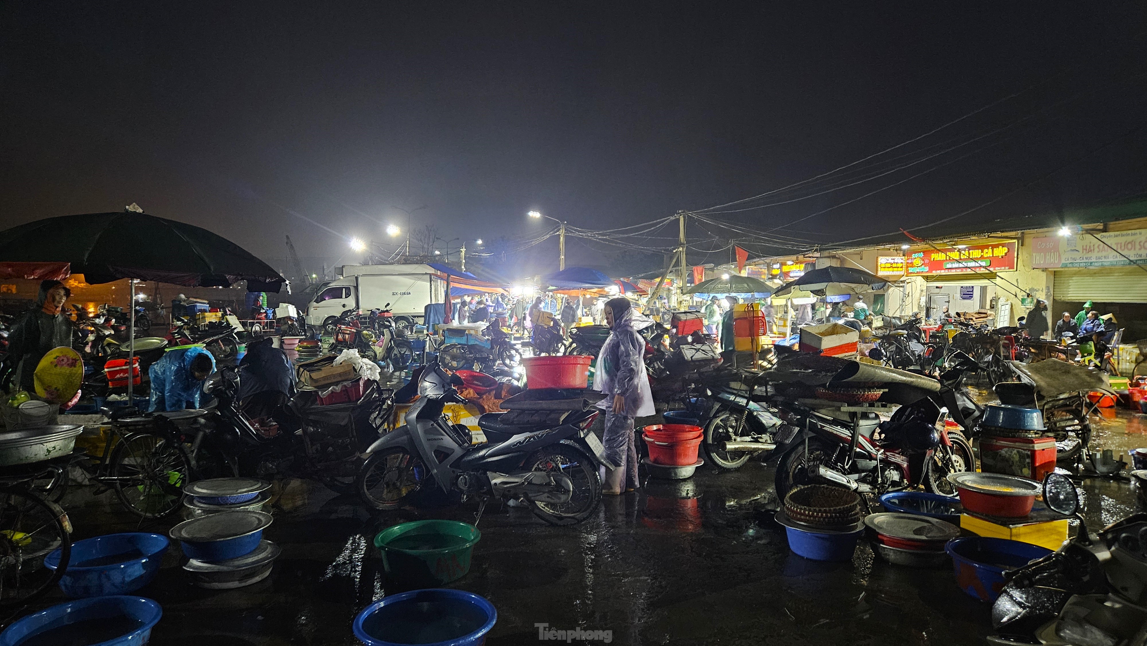 Đội mưa rét đi chợ bến cá lúc tinh mơ