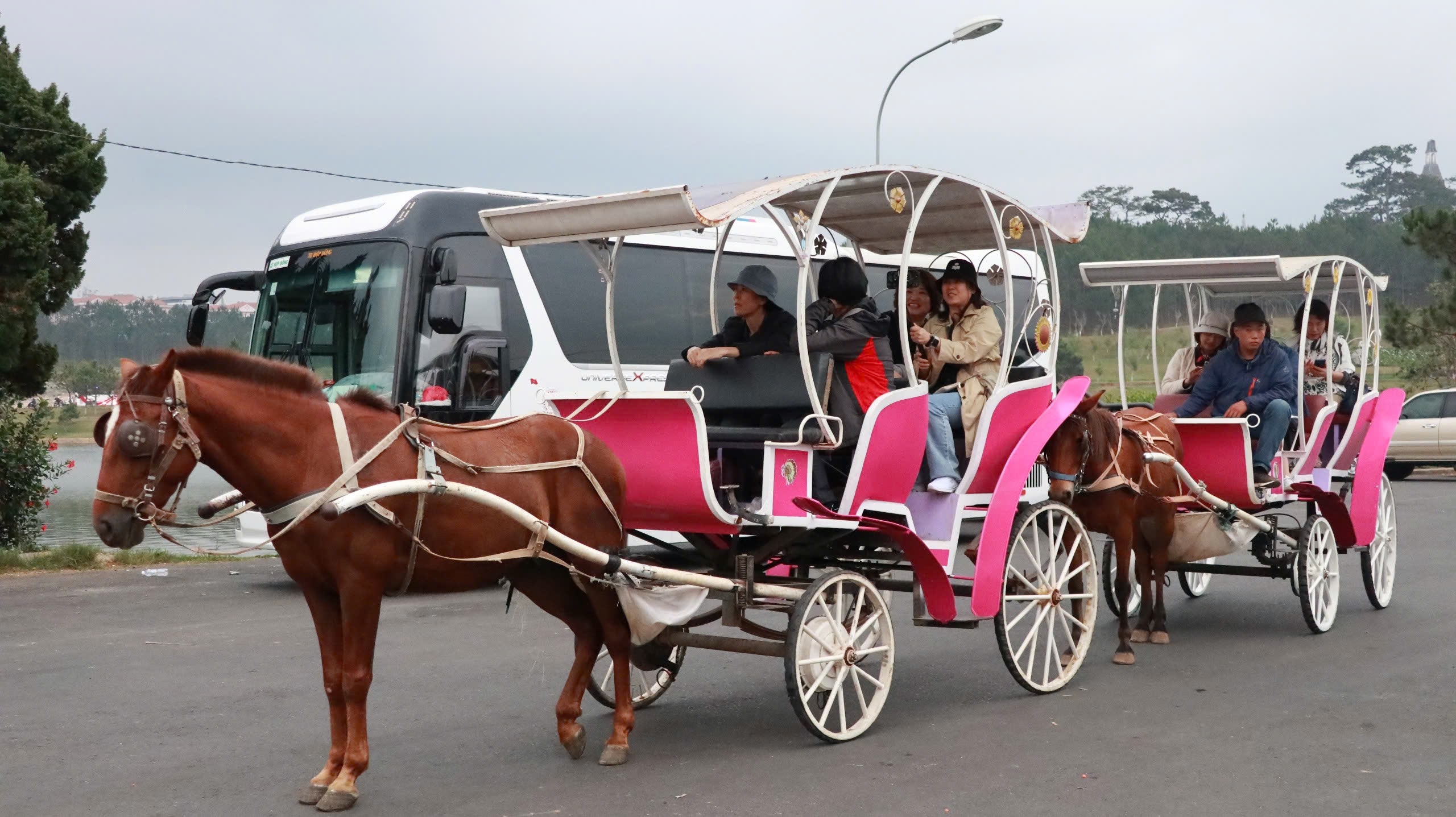 Chủ xe 'té ngửa', người dân tiếc nuối khi hoạt động xe ngựa chở khách ở Đà Lạt bị cấm